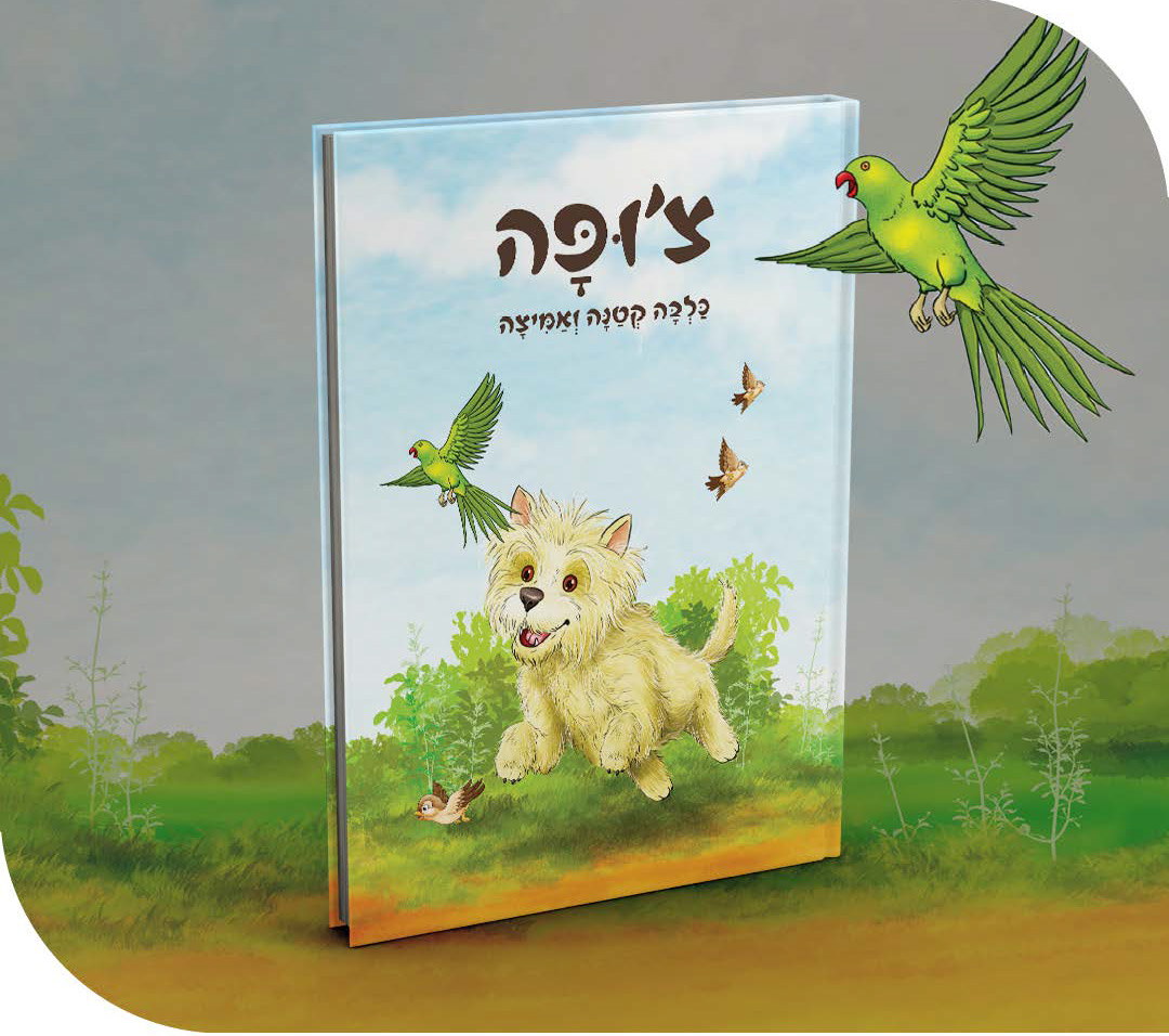 אבן השתייה
