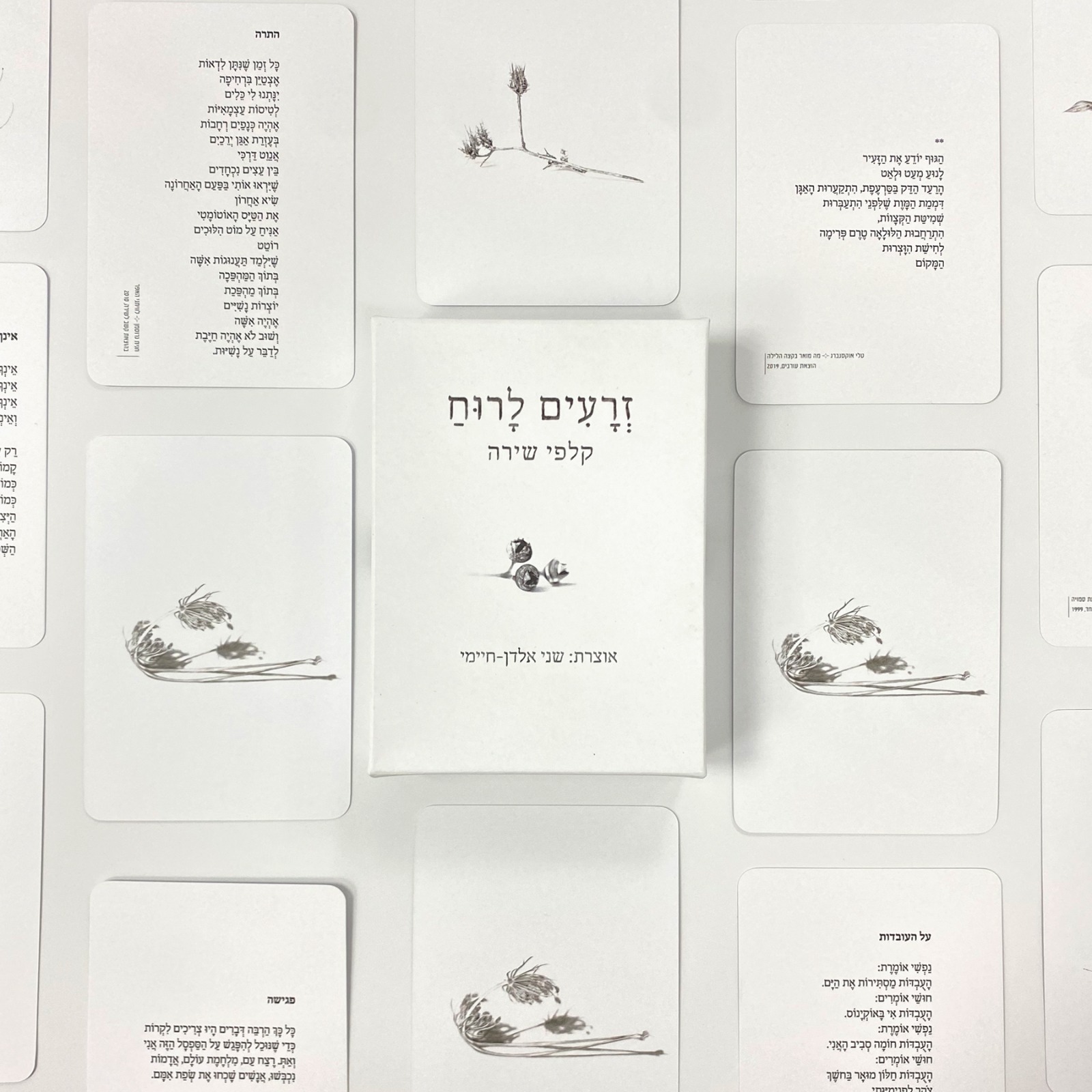 זרעים לרוח 